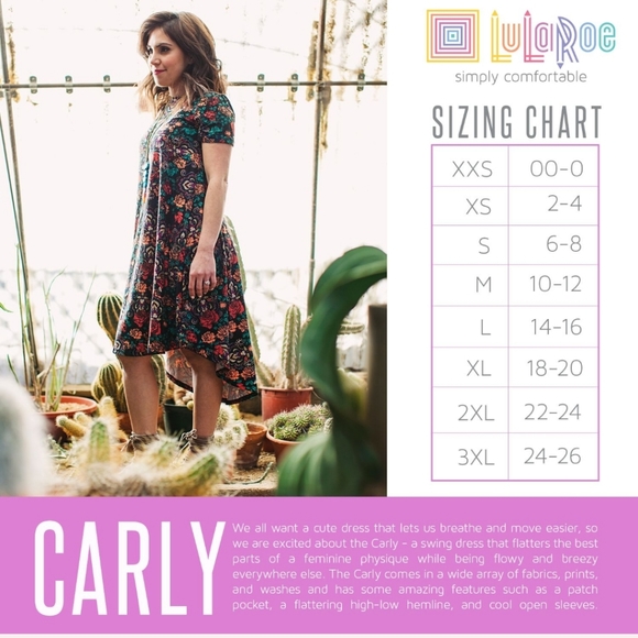 Lularoe Carly T-Shirt dress size XS (2\4) - Picture 4 of 4